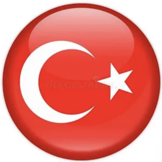 Türkçe